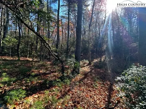 lot31 32 Thoreau Ct, West Jefferson, NC 28694