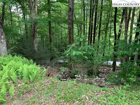 2 Devils Lake Dr, Seven Devils, NC 28604 photo 7