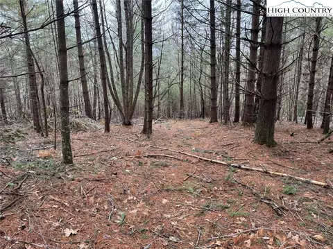 tbd John Baker Rd, Crumpler, NC 28617 photo 45