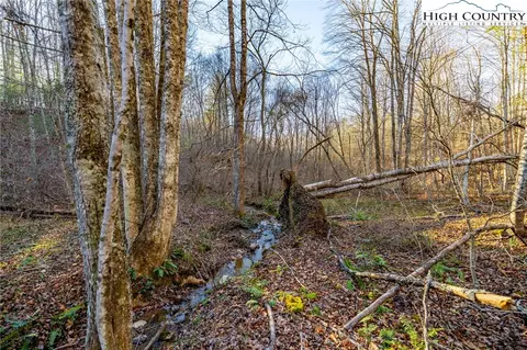 tbd John Baker Rd, Crumpler, NC 28617 photo 11