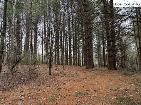 tbd John Baker Rd, Crumpler, NC 28617 photo 44