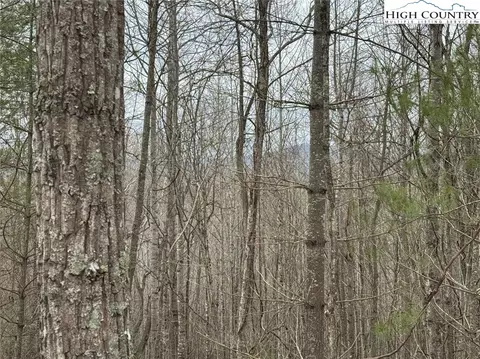 tbd John Baker Rd, Crumpler, NC 28617 photo 41