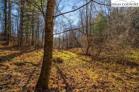 tbd John Baker Rd, Crumpler, NC 28617 photo 22