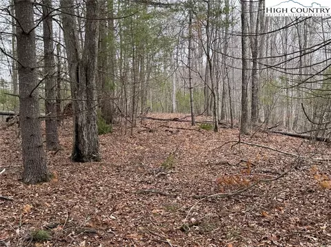 tbd John Baker Rd, Crumpler, NC 28617 photo 40