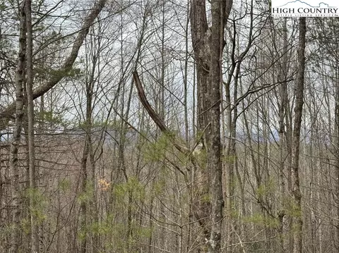 tbd John Baker Rd, Crumpler, NC 28617 photo 43
