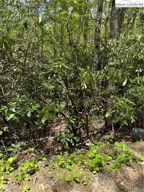 47 Hornbeam Rd, Newland, NC 28657