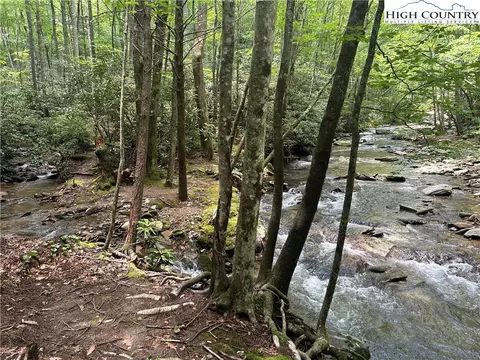 289 Ninebark Rd, Boone, NC 28607 photo 6