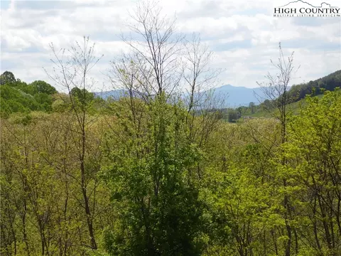 tbd Ginkgo Dr, Sparta, NC 28675