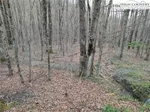 309 Pine Ridge Rd, Beech Mountain, NC 28604