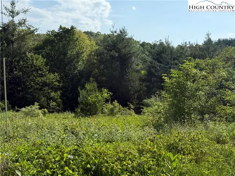 tbd Holly Ridge Rd, West Jefferson, NC 28694