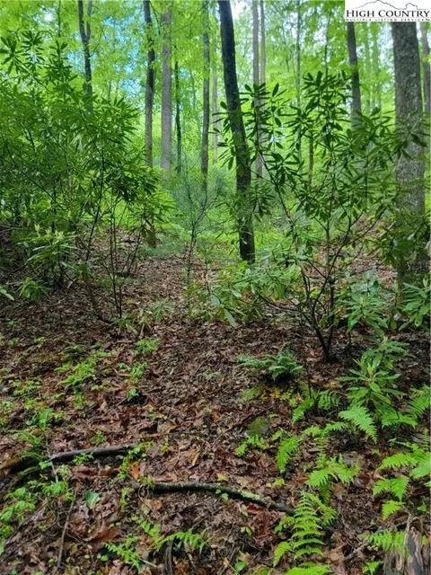 tbd Rocky Top Rd, Lenoir, NC 28645