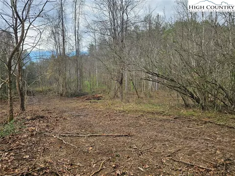 0 Elk Creek Darby Rd, Ferguson, NC 28624 photo 10