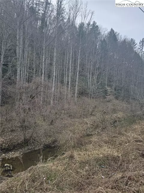 0 Elk Creek Darby Rd, Ferguson, NC 28624 photo 5