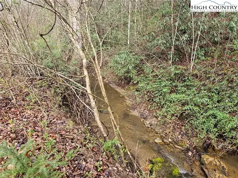 0 Elk Creek Darby Rd, Ferguson, NC 28624 photo 3