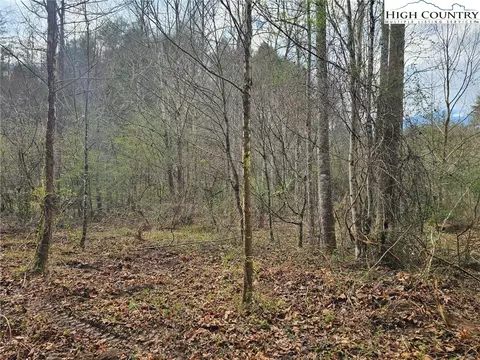 0 Elk Creek Darby Rd, Ferguson, NC 28624 photo 8