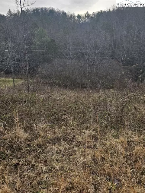 0 Elk Creek Darby Rd, Ferguson, NC 28624 photo 6