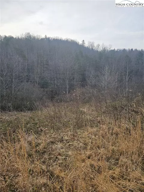 0 Elk Creek Darby Rd, Ferguson, NC 28624 photo 4