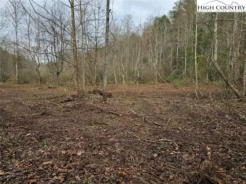 0 Elk Creek Darby Rd, Ferguson, NC 28624 photo 9