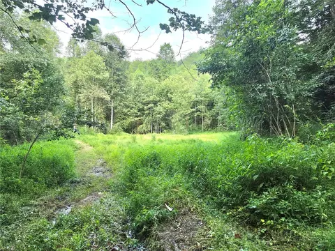 0 Elk Creek Darby Rd, Ferguson, NC 28624