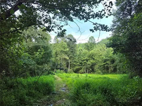 0 Elk Creek Darby Rd, Ferguson, NC 28624 photo 12