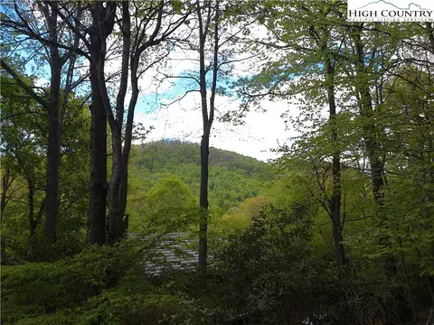673 Stonebridge Ln, Todd, NC 28684 photo 3