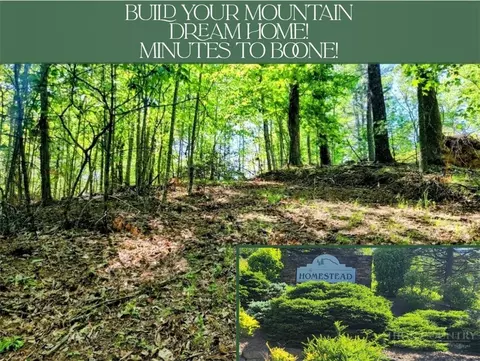 tbd Lucky Leaf Ln, Vilas, NC 28692