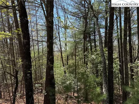 lot213 Casey Mountain Rd, Purlear, NC 28665 photo 13