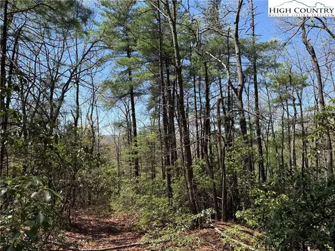 lot213 Casey Mountain Rd, Purlear, NC 28665 photo 7