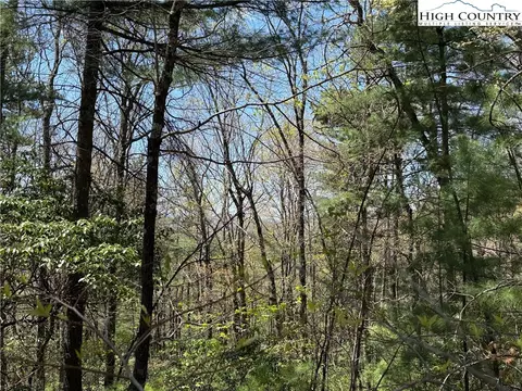 lot213 Casey Mountain Rd, Purlear, NC 28665 photo 14