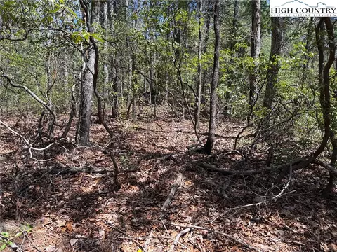 lot213 Casey Mountain Rd, Purlear, NC 28665 photo 9