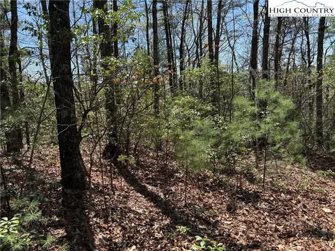 lot213 Casey Mountain Rd, Purlear, NC 28665 photo 10