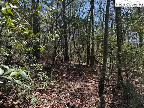 lot213 Casey Mountain Rd, Purlear, NC 28665 photo 8
