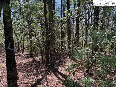 lot213 Casey Mountain Rd, Purlear, NC 28665 photo 12