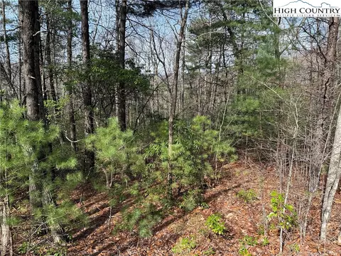 lot213 Casey Mountain Rd, Purlear, NC 28665 photo 6