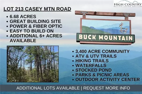 lot213 Casey Mountain Rd, Purlear, NC 28665