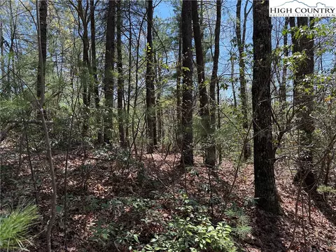 lot213 Casey Mountain Rd, Purlear, NC 28665 photo 11