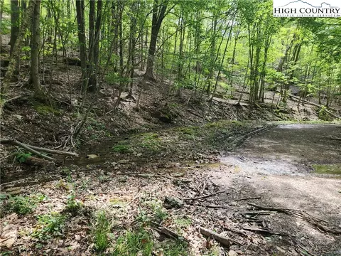 138 Hollow Tree Rd, Beech Mountain, NC 28604