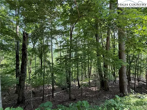 115 Hollow Tree Rd, Beech Mountain, NC 28604 photo 2