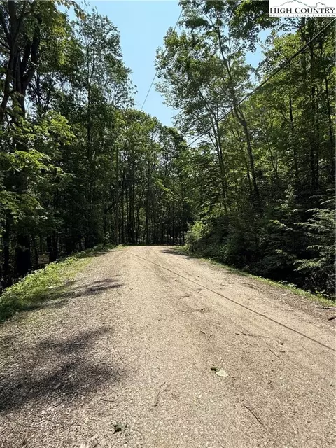 115 Hollow Tree Rd, Beech Mountain, NC 28604 photo 5