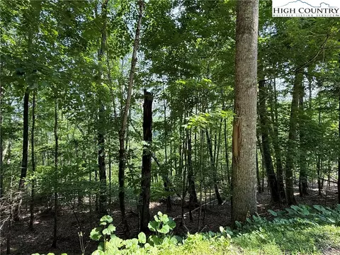 115 Hollow Tree Rd, Beech Mountain, NC 28604 photo 3
