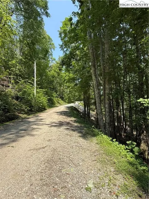 115 Hollow Tree Rd, Beech Mountain, NC 28604 photo 4