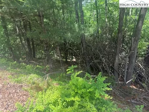 tbd Deerwood Rd #58, Sparta, NC 28675