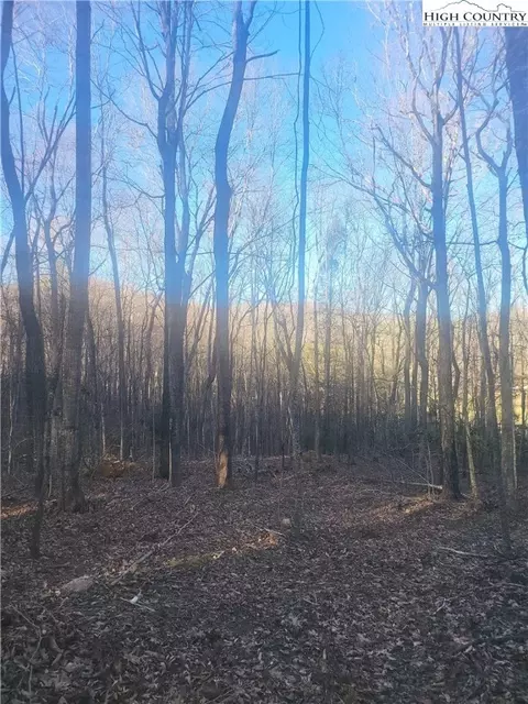 tbd Bluff Ridge Rd, West Jefferson, NC 28694