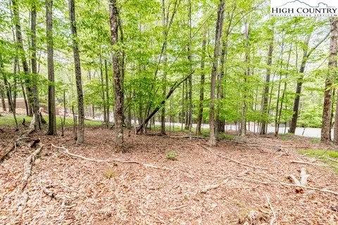 508 Charter Hills Rd, Beech Mountain, NC 28604 photo 2