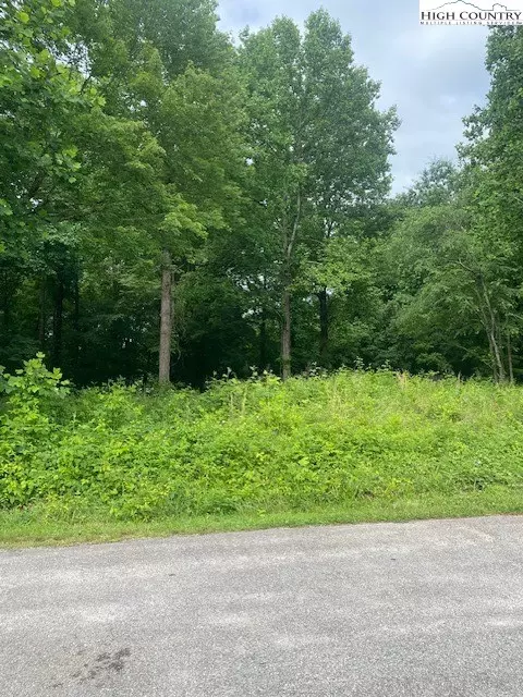 0000 Mountain View Rd, North Wilkesboro, NC 28659