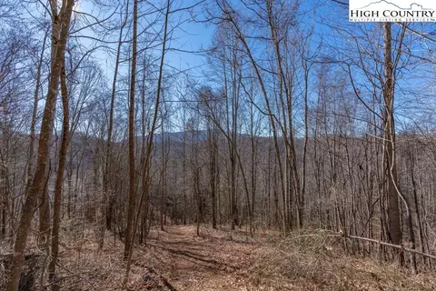 3000 Elk River Rd, Elk Park, NC 28622