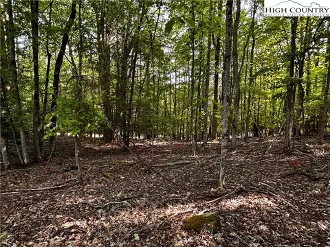 805 Pine Ridge Rd, Beech Mountain, NC 28904