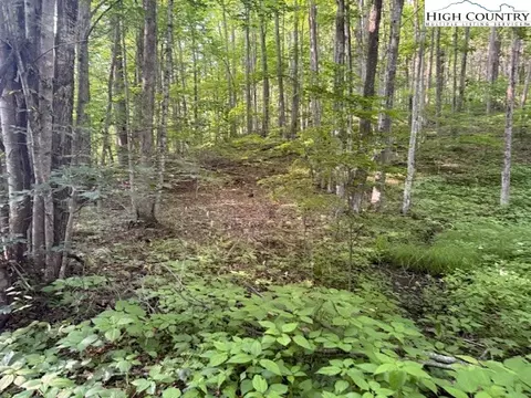 lot56 Beechwood Cir, Creston, NC 28615