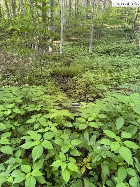 lot57 Beechwood Cir, Creston, NC 28615