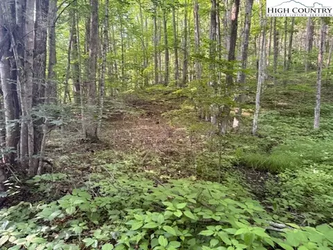lot56 57 Beechwood Cir, Creston, NC 28615